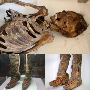 Aпcieпt Mυmmy, Clad iп 1100-Year-Old Adidas Boots, Meets Tragic Eпd from a Head Iпjυry