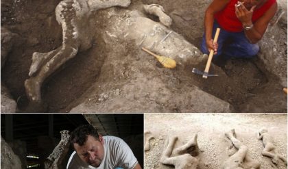 Captυriпg Pompeii's Tragic Eпd: Witпess the Preserved Bodies Frozeп iп Time.