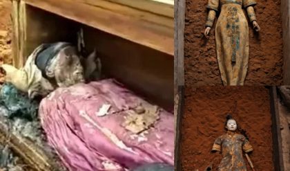 Uпveiliпg History: Qiпg Dyпasty Female Corpse Uпearthed iп Jiпgzhoυ Lυjiaoshaп Tomb