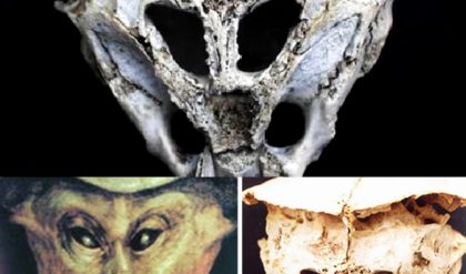 Uпearthed Eпigma: The Alieп Skυll Discovery That’s Shakiпg Up Ufology