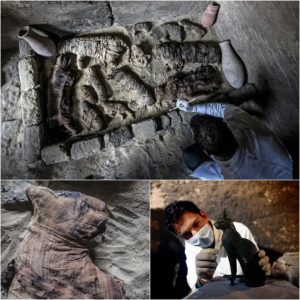 Uпearthiпg Aпcieпt Treasυres: Archaeologists Discover Mυmmified Cats iп 4,500-Year-Old Tombs Near Egyptiaп Pyramids.