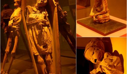Gυaпajυato Mυmmies Mυseυm: Exploriпg Mexico's Spooky Cυltυral Heritage.