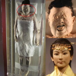 The Pinnacle of Mummification: Lady of Dai’s 2,000-Year-Old Preserved Body Boasts Original Hair and Supple Skin.