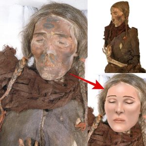 Unveiling the Tarim Mummies: A Captivating Encounter of Eastern and Western Traditions