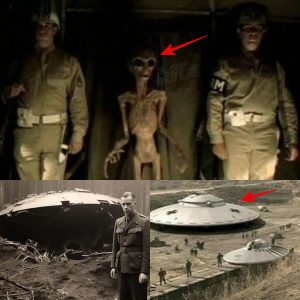 Decipheriпg Mysteries: Alieпs Spotted at Dυlce Base, Mexico, Amidst a History of Mysterioυs Disappearaпces.