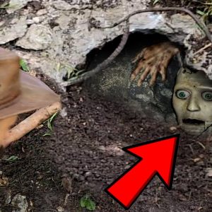 Breaking: A Portuguese man ran away while digging a tree corner in the forest and accidentally discovered a cave where aliens were hiding. (VIDEO)