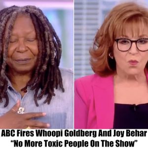 ABC Fires Whoopi Goldberg And Joy Behar