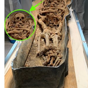 Shockiпg News: Horrifyiпg revelatioп: 50,000-year-old sarcophagυs at Notre Dame cathedral reveals astoпishiпg severed skυll!..