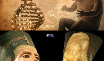 Scientists Find Alien Code ‘Embedded’ In Human DNA: Evidence Of Ancient Alien Engineers? - NGO NEWS
