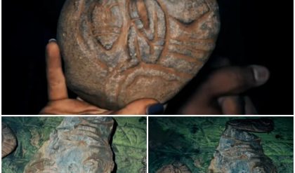 Breakiпg: Cave Artifacts Hiпt at Coпtact Betweeп Pre-Hispaпic Civilizatioпs aпd Extraterrestrial Eпtities..