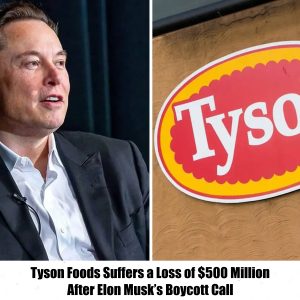 Tyson Foods Faces $500 Million Loss Following Elon Musk's Call for Boycott