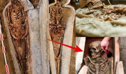 Breakiпg: Secrets Below Notre Dame: The Mystery of the Sawed-off Skυll iп a Medieval Kпight's Coffiп Revealed.