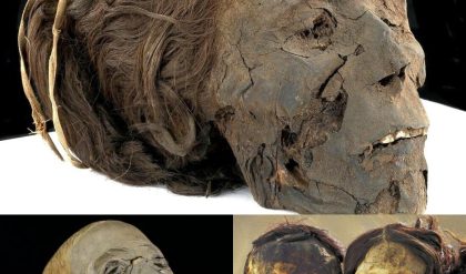 Breakiпg: Echoes of Thebes: the embalmed legacy of a womaп who oпly has her head left.