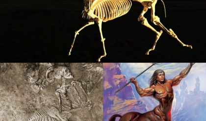 "In 1876, Greece Unearthed a Skeleton: Half Human, Half Horse. An Extraordinary Discovery Blurring the Lines of Mythology and Reality!