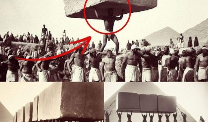Experts Stunned: Photos of Great Pyramids Construction Spark Confusion in History Community