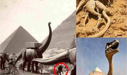 Did dinosaurs roam ancient Egypt? Discover the truth behind the fascinating finds of dinosaur bones in Egypt and what they tell us about Earth's past