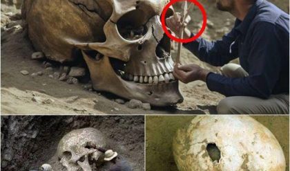 Archaeologists Uncover Enigmatic Nephilim Skull, Potentially Rewriting History's Narrative
